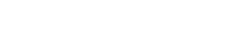 Carahsoft Government IT Partner